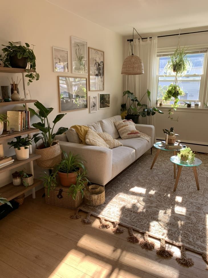 Sunlit Plant Filled Apartment