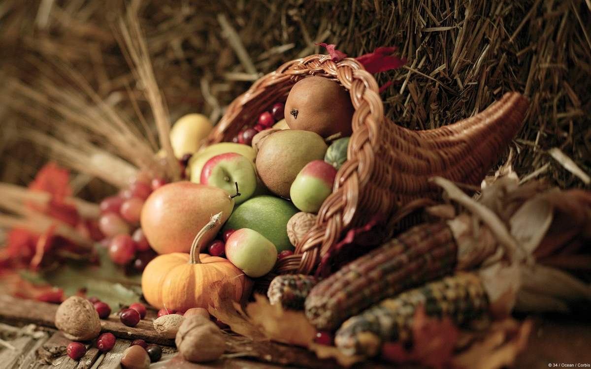 Rustic dining table, wicker cornucopia, apples, pumpkins, corn, straw filler, candlelight.