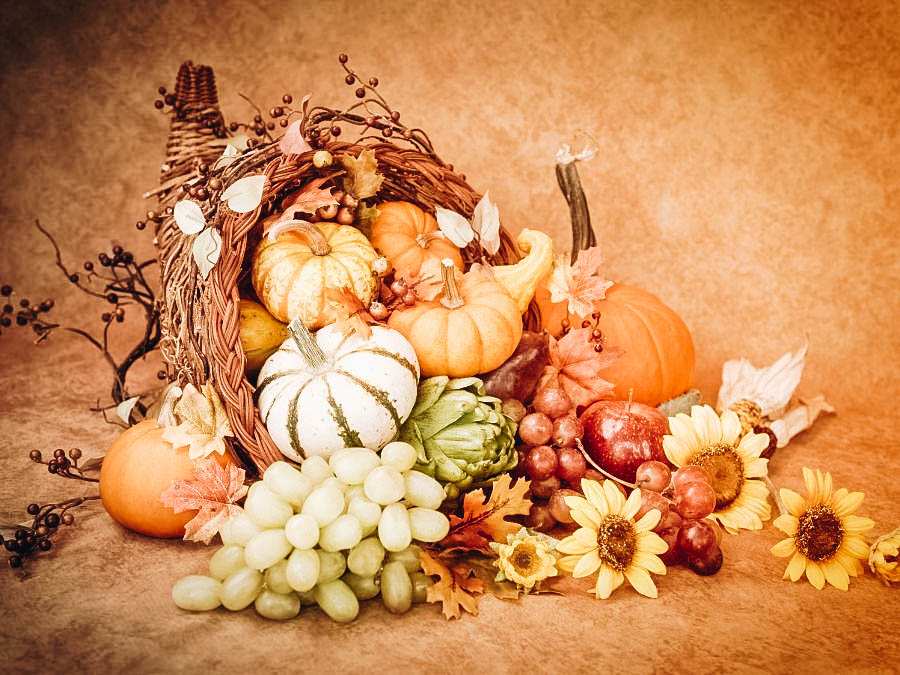 Dining table, white pumpkin cornucopia, purple grapes, bright sunflowers, warm pendant lighting.