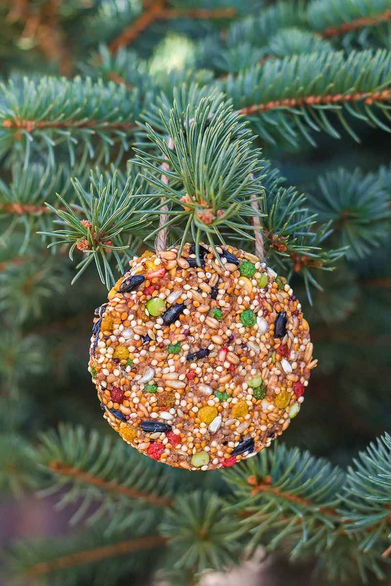 40 DIY Birdseed Ornaments for Christmas Bird Feeders