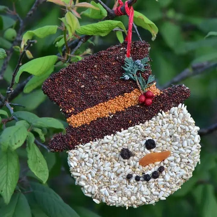 Star shaped birdseed ornament tied with checkered red ribbon against a frost dusted windowpane.