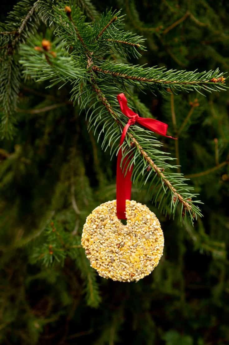 Metallic mason jar ring turned into a circular birdseed medallion hanging on a tree.