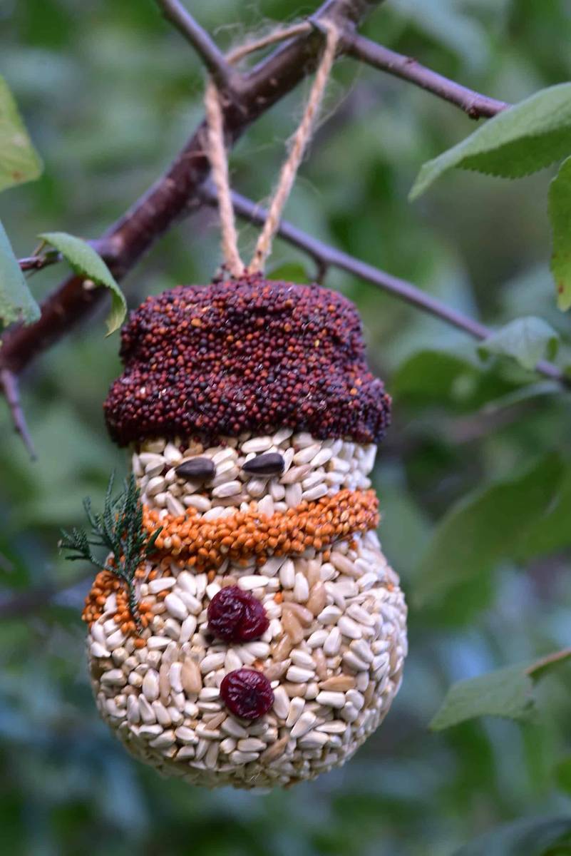 Birch wood slice ornament carved with a center star filled with wild birdseed.
