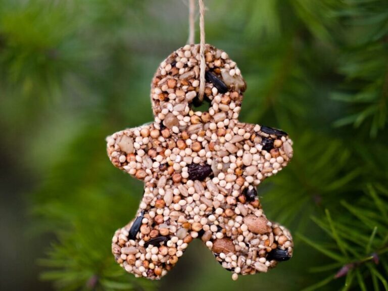 Mason jar lid birdseed ornaments hanging on evergreen branches near cozy warm wooden window display.