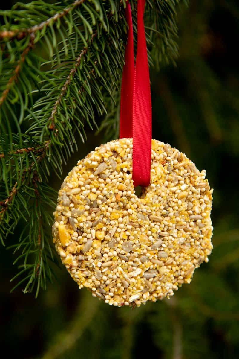 Terracotta dish birdseed ornament wreath with velvet ribbon styled on neutral entryway porch decor.