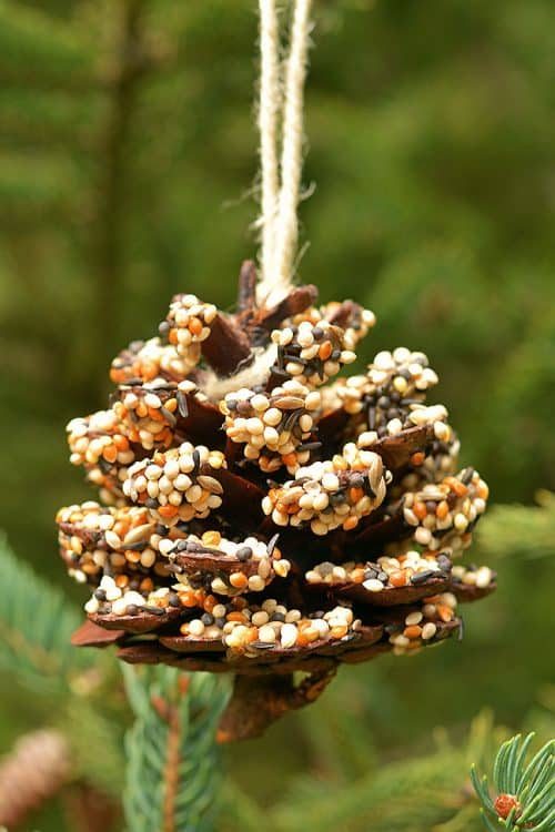 Cinnamon stick star birdseed ornament displayed against rustic whitewashed wood paneling with soft lighting.