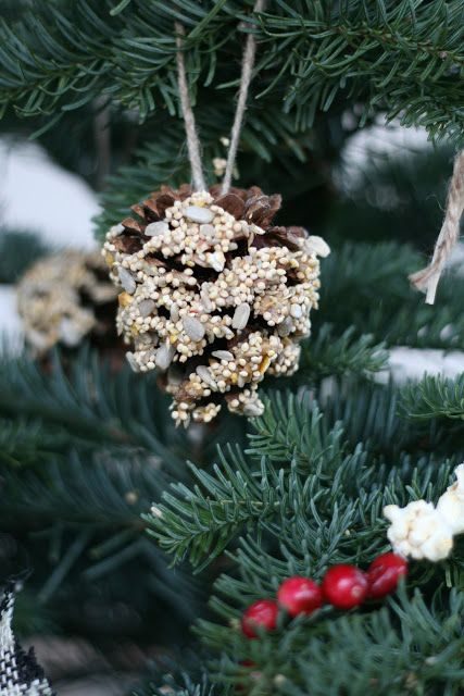 Thrifted porcelain teacup filled with seed hanging from winter garden arbor with delicate golden cord.