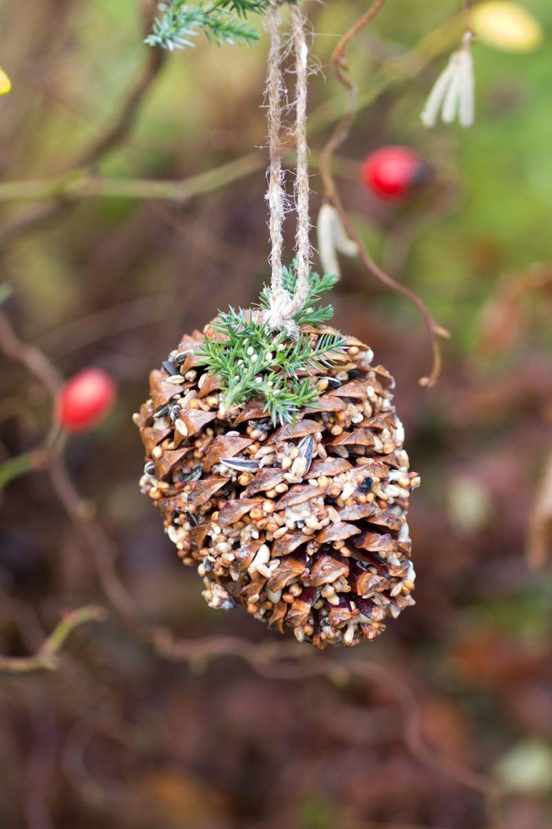 Natural pinecone and birdseed sphere garland draped over dark stained oak fireplace mantel shelf.