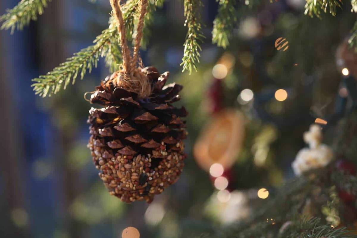 Snowflake and tree shaped birdseed ornaments with red grosgrain ribbon on natural birch branch styling.