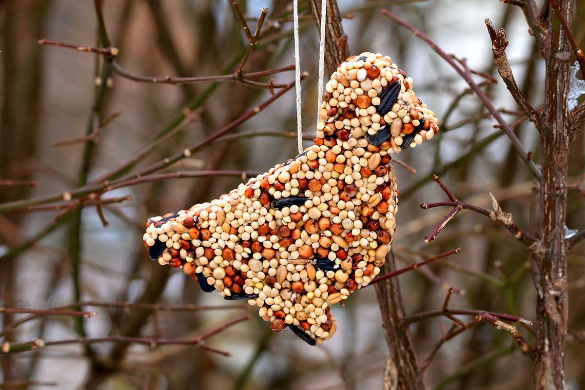 White birch bark wrapped around cylindrical suet birdseed ornament on cozy rustic cabin porch.