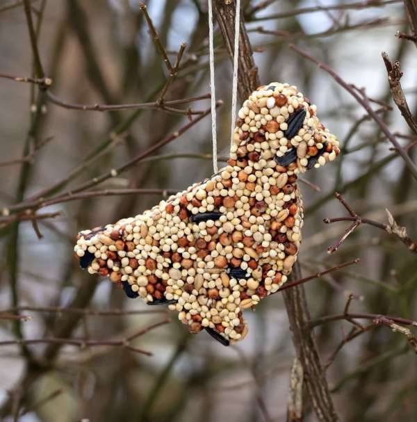 Golden wheat stalks tied with linen ribbon above bell shaped birdseed feeder on rustic farmhouse porch.