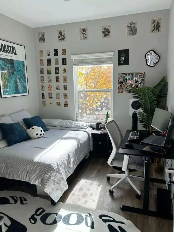 Gallery wall with mixed frames positioned next to a large bright window, enhancing natural light.
