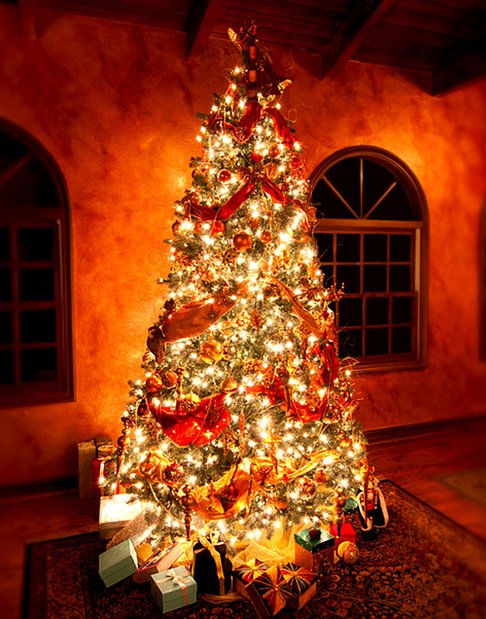 Formal parlor showcasing red sash ribbon tree beside linen sofa in soft incandescent glow