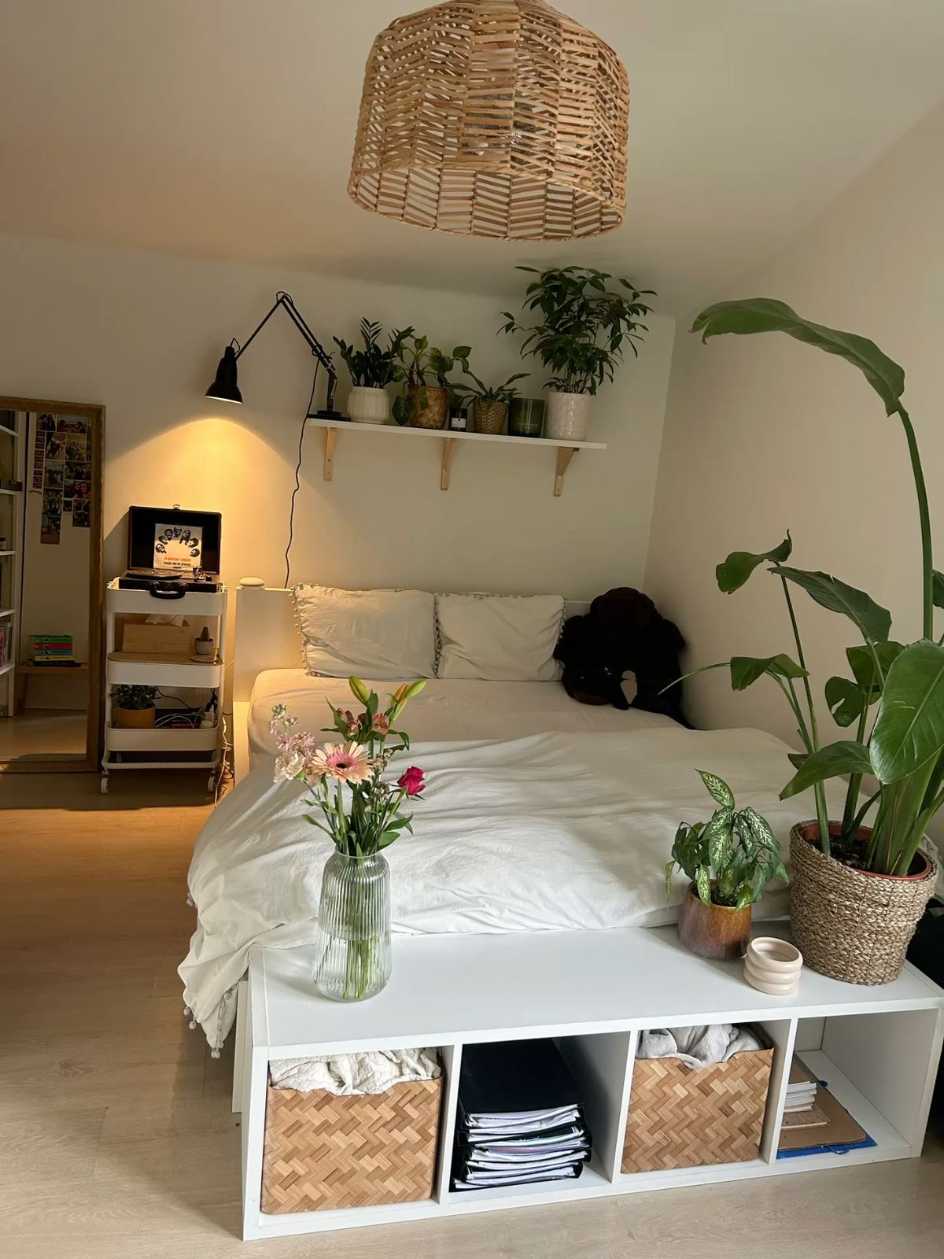 Small bedroom decor with a storage bench at the foot of the bed and plants