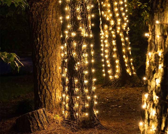 Lush bushes completely covered in net lights as quick outdoor christmas decorations.