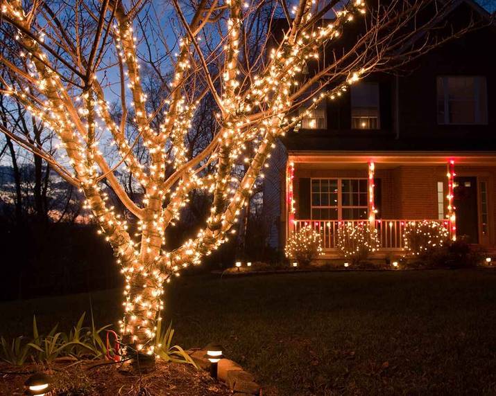 An evergreen tree with individual branches wrapped in glowing string lights as outdoor christmas decorations.