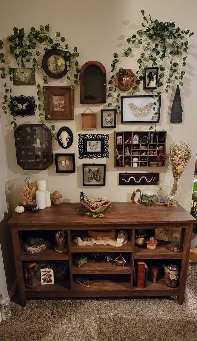 Glass curio cabinet against a wall displaying framed preserved butterflies and vintage items.
